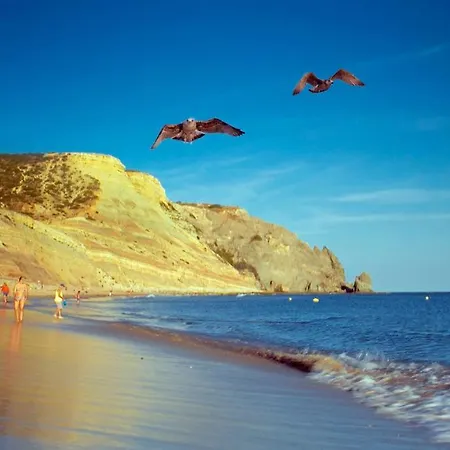 Апартаменты A06 - Seaview 1 Bed *